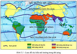 Môi trường nhiệt đới là gì? Đặc điểm và khí hậu của môi trường nhiệt đới